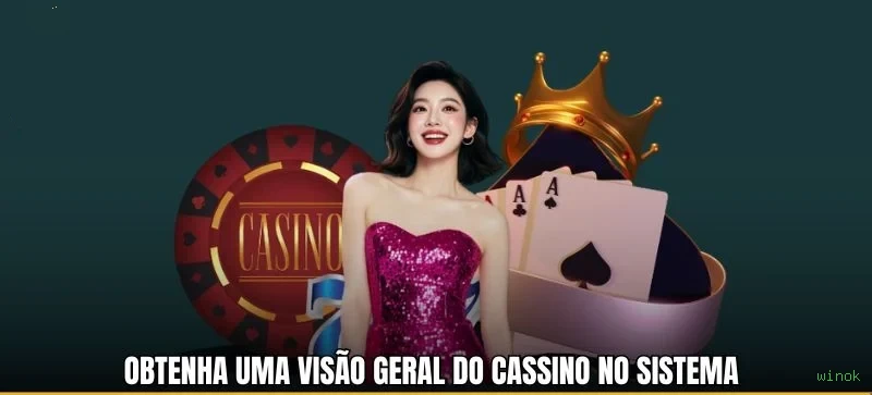Controles de paJogonto e BRL em winok